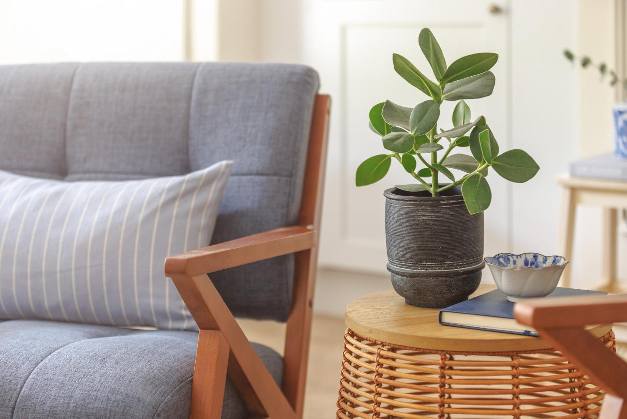 Ocean City Stylish Apartment Plymouth Dış mekan fotoğraf