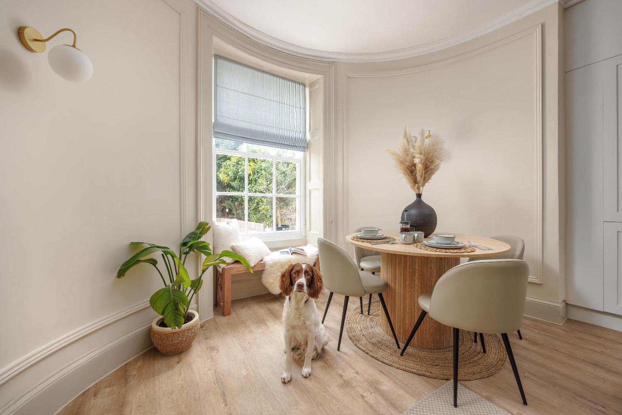 Ocean City Stylish Apartment Plymouth Dış mekan fotoğraf